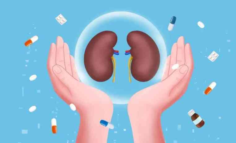 【科普促健康】远离慢性肾脏病,让“肾”命更健康