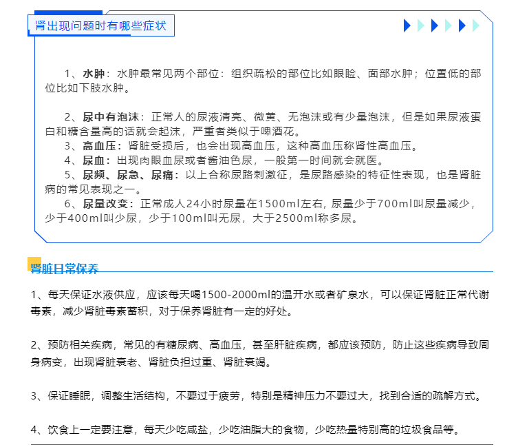 肾的作用