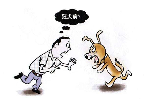 狂犬病的防治