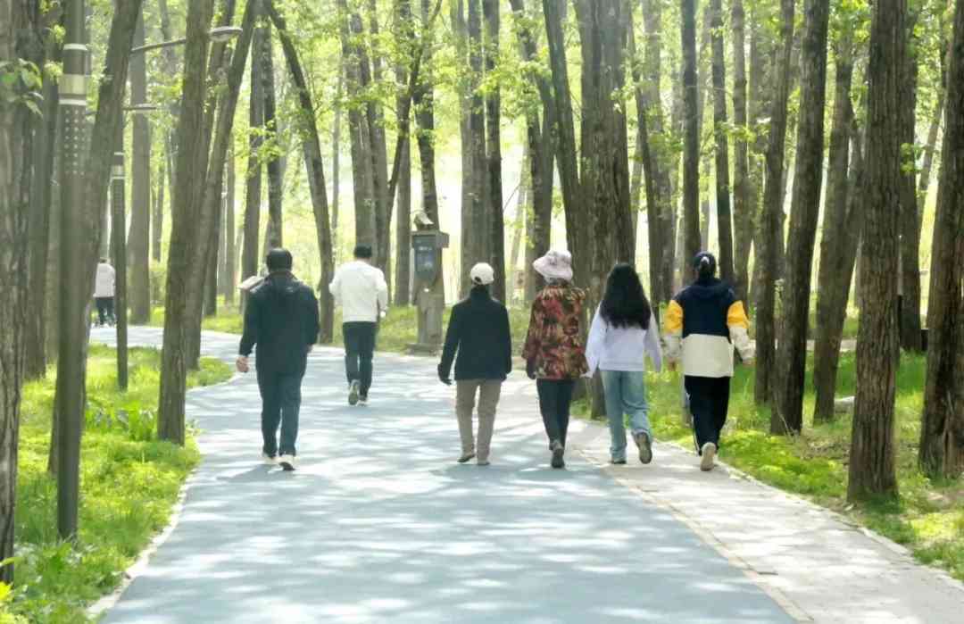 【庆祝建院60周年 · 风雨兼程六十载,凝心聚力谱新篇】西宁市第三人民医院开展徒步活动